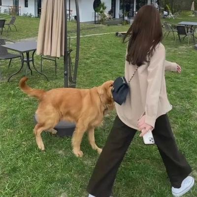 窈窕老爹