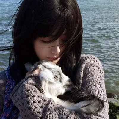 绿衣骑士